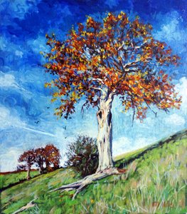 Old Survivor by Tilly Willis